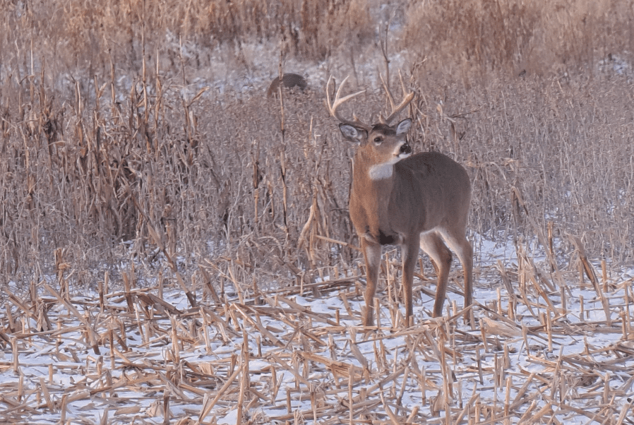 Aggressive Tactics For Late Season Success